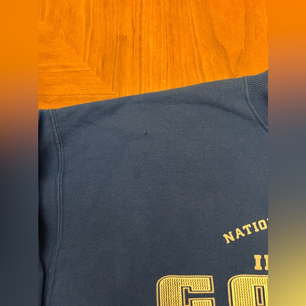 Vintage 2001 Indianapolis Colts Lee Sport Crewneck - Picture 4 of 8
